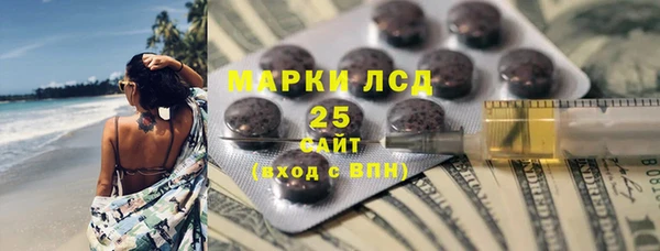 мдпв Бородино