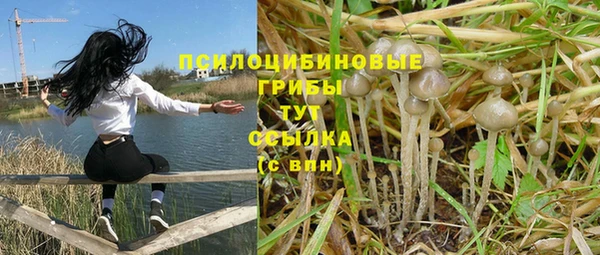мдпв Бородино