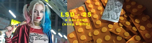 ГАЛЛЮЦИНОГЕННЫЕ ГРИБЫ Бугульма
