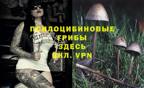 мдпв Бородино