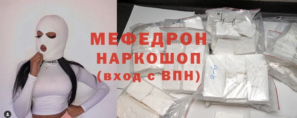 мдпв Бородино