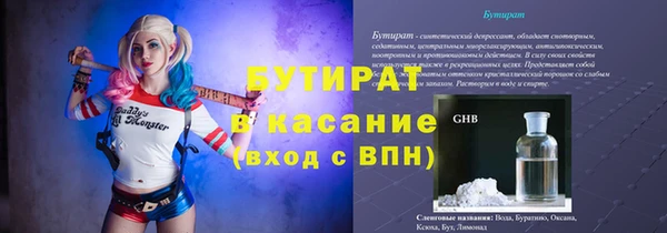 мдпв Бородино