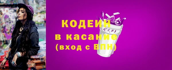мдпв Бородино