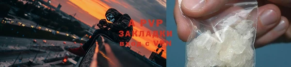 мдпв Бородино