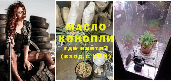 мдпв Бородино