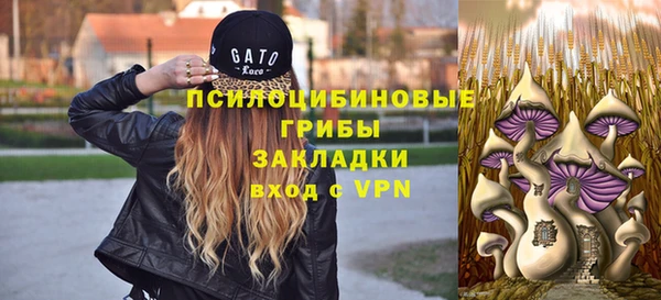 мдпв Бородино