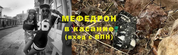 мдпв Бородино