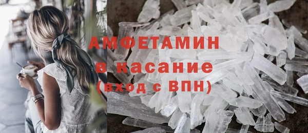 мдпв Бородино