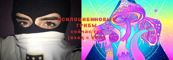 мдпв Бородино