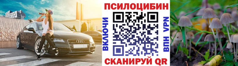 Галлюциногенные грибы прущие грибы Берёзовка